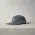 Šiltovka TITLE 5 PANEL LOGO #2