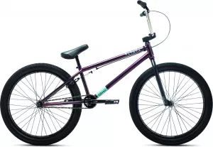 CRUISER DK CYGNUS 24 2021