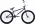 CRUISER DK CYGNUS 24 2021 #2