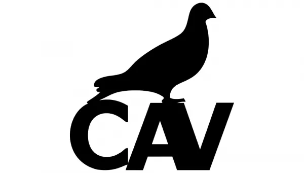 CAV CREW