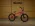 Bicykel BMX SUNDAY PRIMER 20" 2027 #1